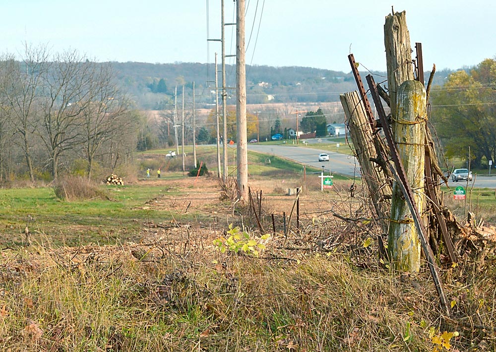 Terry Mayer -photographer Along hwy H where trees have been removed